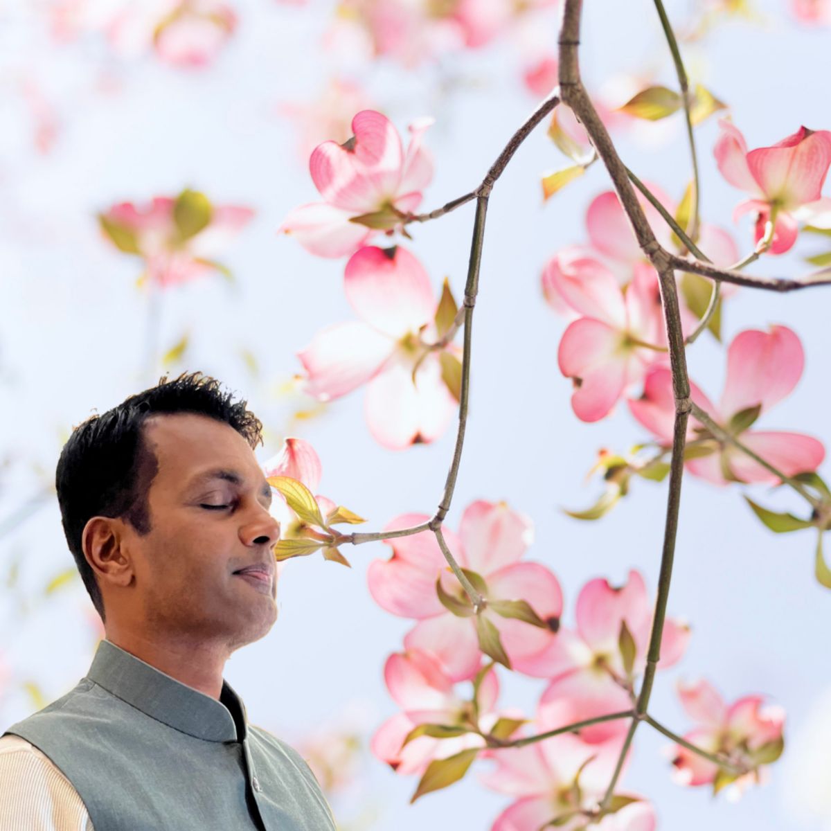 Jay meditating with eyes closed beneath pink dogwood blossoms